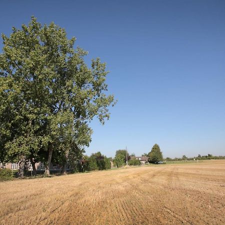 B&B Het Rooj Holsbeek Екстер'єр фото