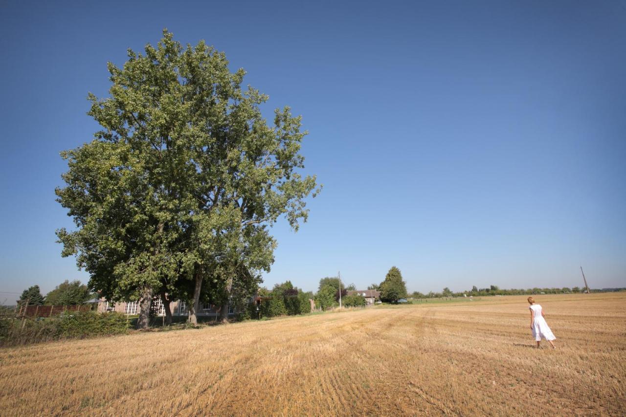 B&B Het Rooj Holsbeek Екстер'єр фото